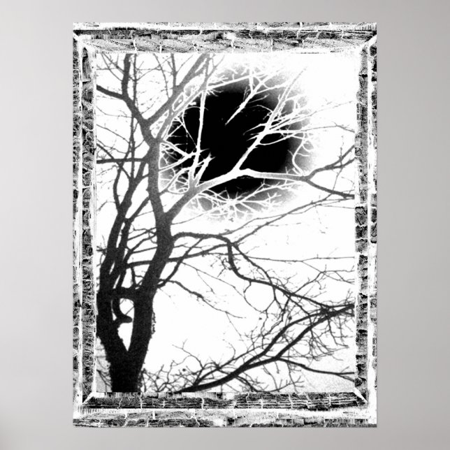 Póster Silhouette Moonlight (Frente)