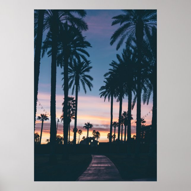 Póster Silhouette of houses beside palm trees and pathway (Frente)