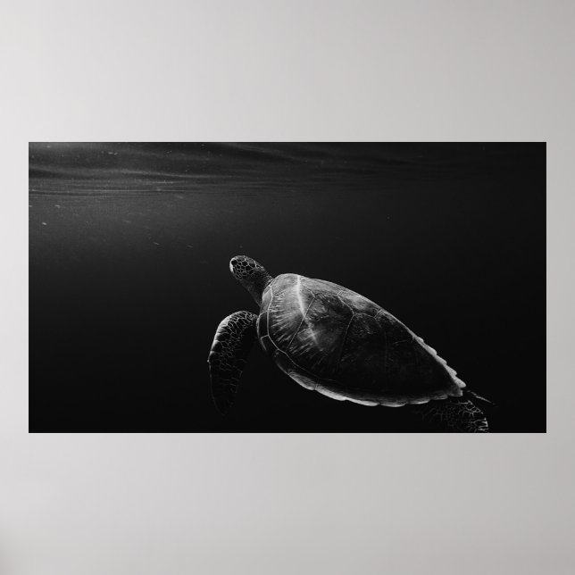 PÓSTER SILHOUETTE OF SEA TURTLE UNDERWATER (Frente)