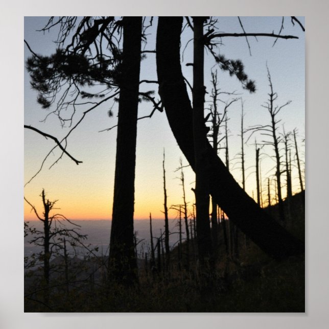 Póster Silhouette Sundown (Frente)