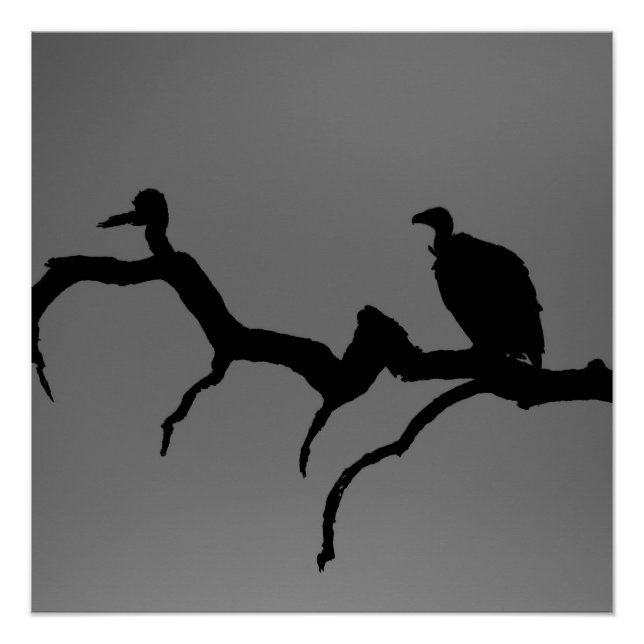 Póster Silhouette Vulture (Anverso)