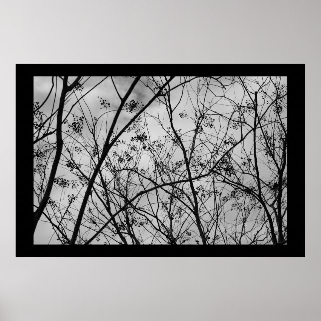 Póster Silhouettes (Frente)