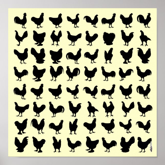 Póster Silhouettes de pollo (Frente)