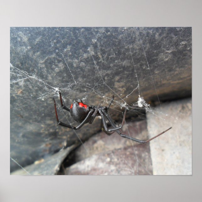 Póster Silken Strands (Frente)