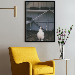 Póster Silkie Chicken Poster