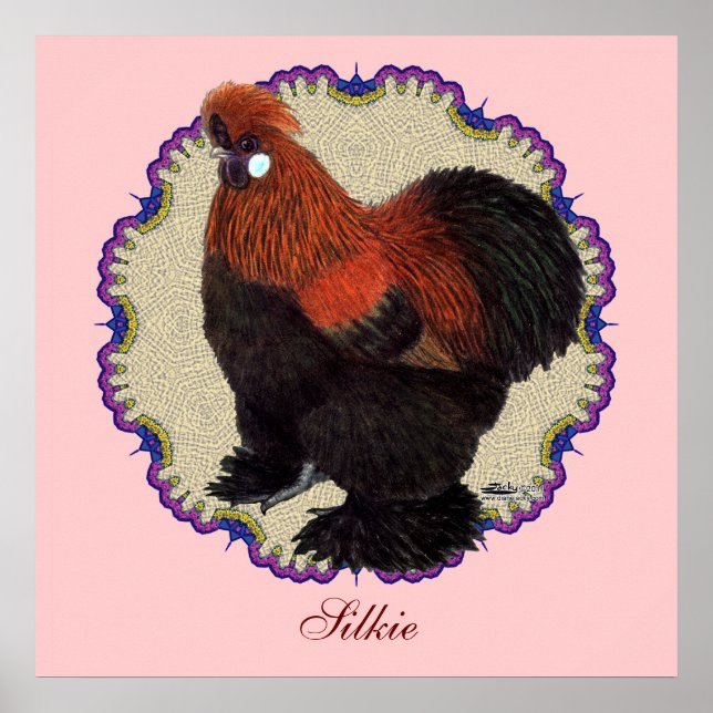 Póster Silkie Circle (Frente)