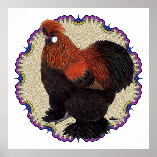 Póster Silkie Circle (Frente)