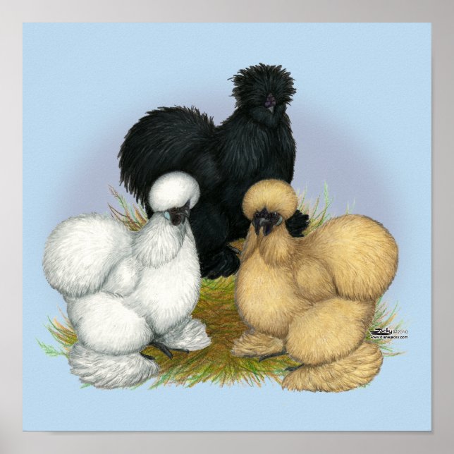 Póster Silkie Trio (Frente)