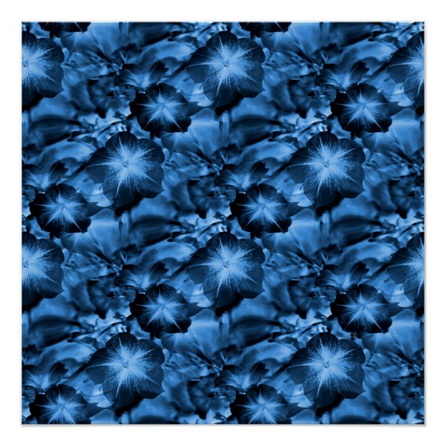 Póster Silky Blue... (Anverso)