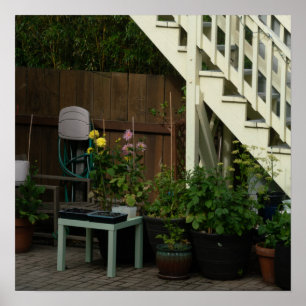Póster Silla de jardín