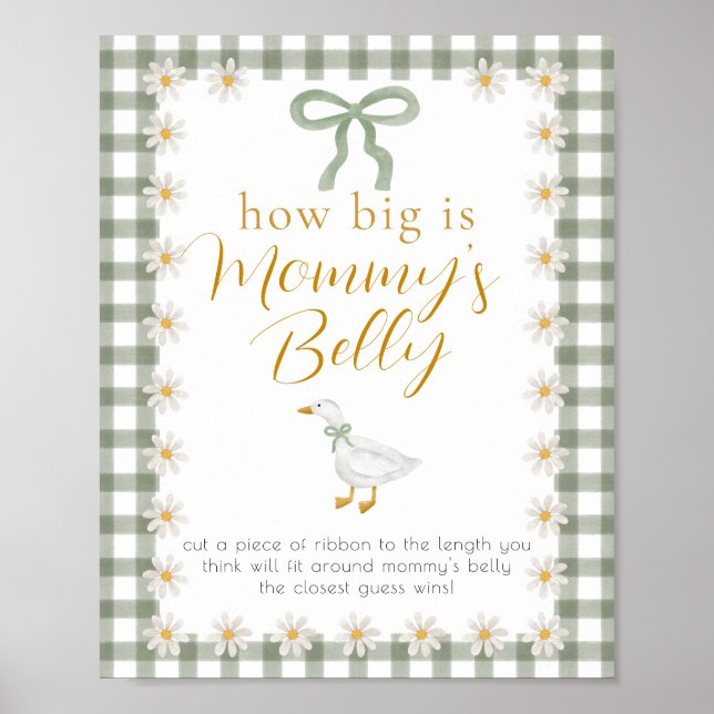 Póster Silly Goose Green Gingham Baby Shower Game  (Frente)