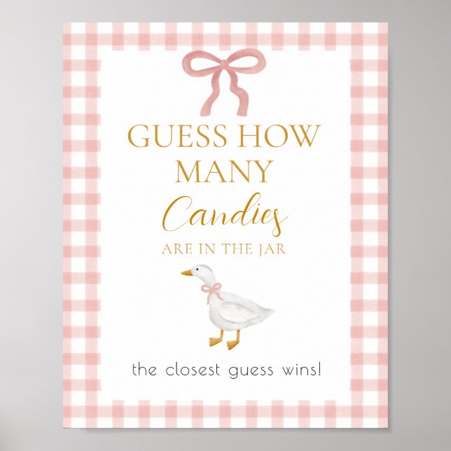 Póster Silly Goose Pink Gingham Guess How Many Game (Frente)
