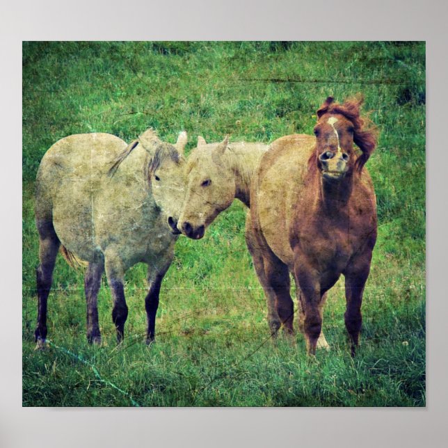 Póster Silly Horses (Frente)