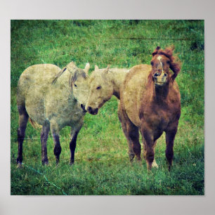 Póster Silly Horses