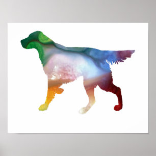 Póster Silueta abstracta colorida del organismo