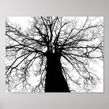 Silueta de árbol en Poster blanco y negro