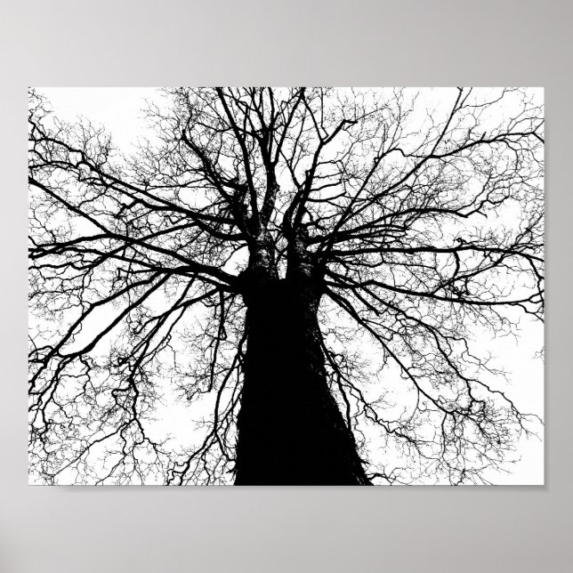 Póster Silueta de árbol en Poster blanco y negro (Frente)