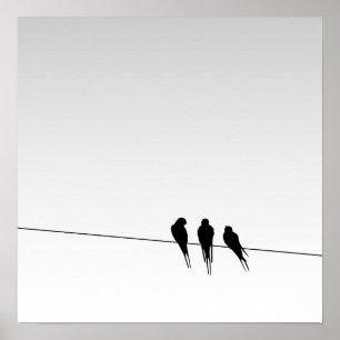 Póster Silueta de aves negras sobre alambre en cielo grad
