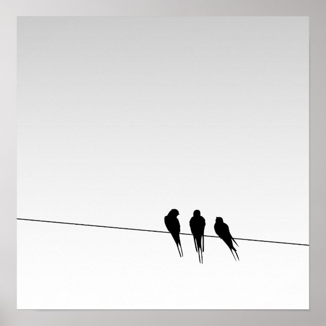 Póster Silueta de aves negras sobre alambre en cielo grad (Frente)