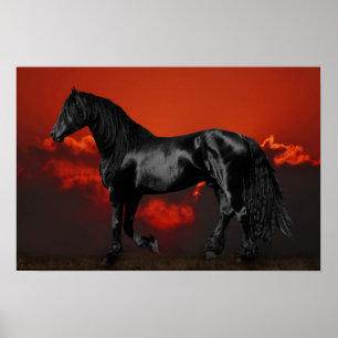 Póster Silueta de caballo al atardecer