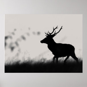 Póster Silueta de ciervo rojo en niebla – Blanco y negro