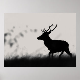 Póster Silueta de ciervo rojo en niebla – Blanco y negro