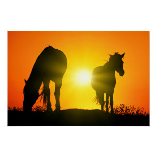 Póster Silueta de dos caballos al atardecer