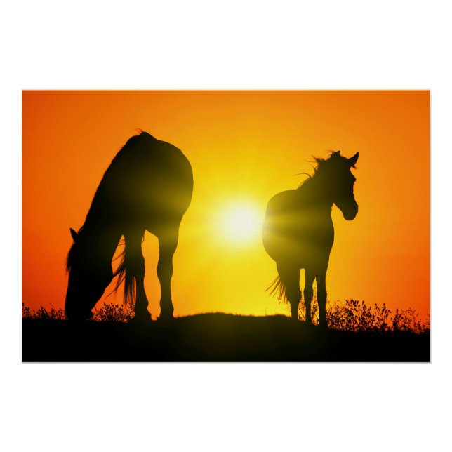 Póster Silueta de dos caballos al atardecer (Anverso)
