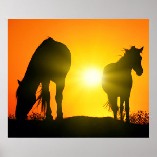 Póster Silueta de dos caballos al atardecer