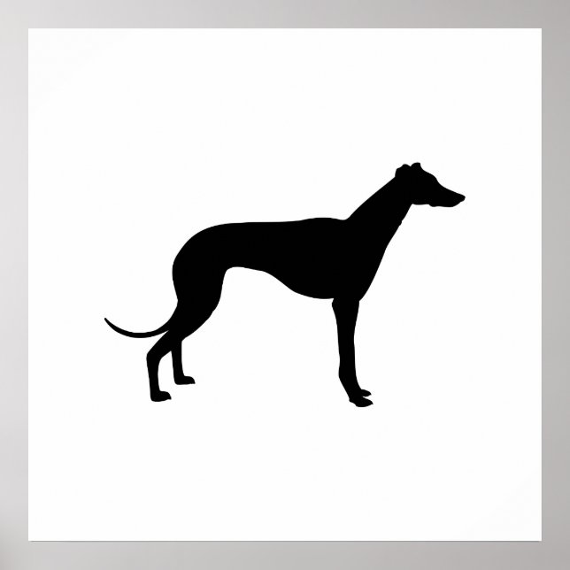Póster Silueta de galgo (Frente)