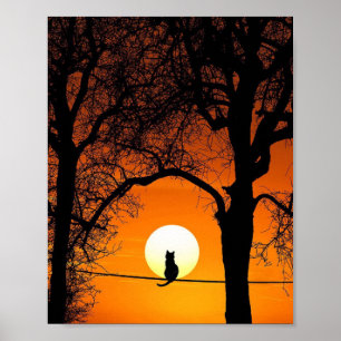 Póster Silueta de gato negro al atardecer