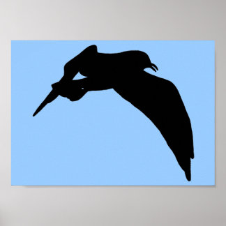 Póster Silueta de gaviota en negro planeando por el cielo