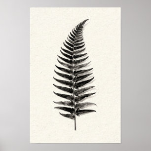Póster Silueta de helecho monocromo 12 x 18