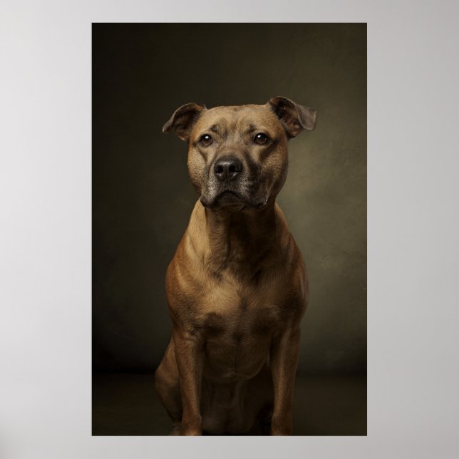 Póster Silueta de perro elegante (Frente)