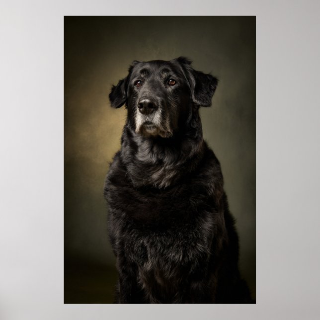 Póster Silueta de perro elegante (Frente)