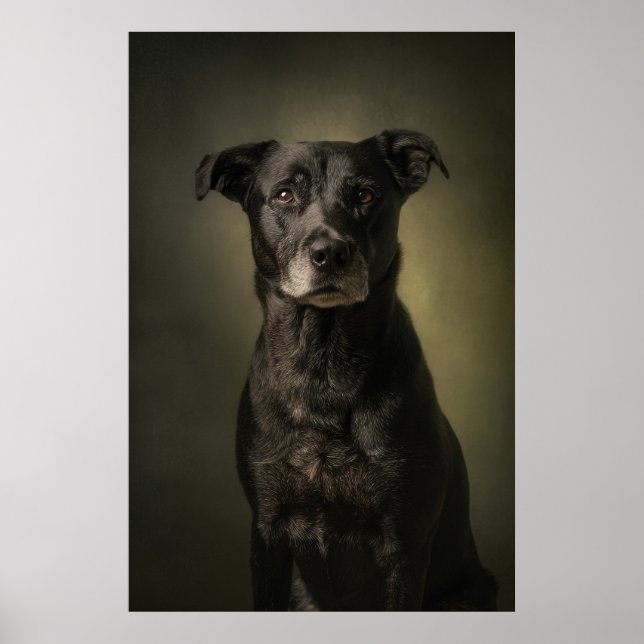 Póster Silueta de perro elegante (Frente)