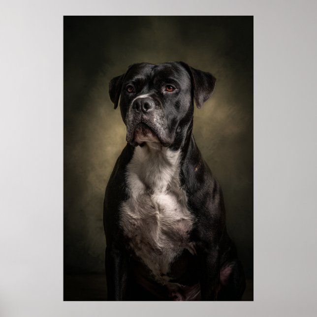 Póster Silueta de perro elegante (Frente)