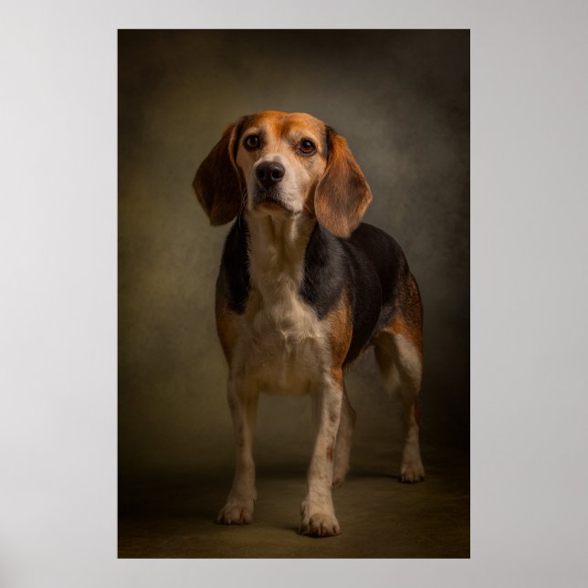 Póster Silueta de perro elegante (Frente)
