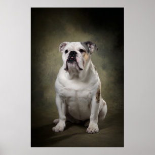 Póster Silueta de perro elegante