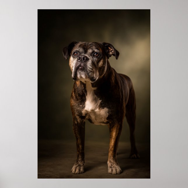 Póster Silueta de perro elegante (Frente)