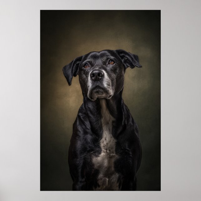 Póster Silueta de perro elegante (Frente)