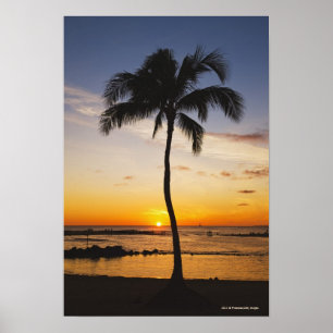 Póster Silueta de una palmera por una puesta del sol