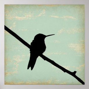 Póster Silueta del colibrí en fondo azul del Grunge