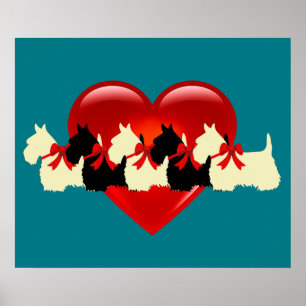 Póster Silueta en negro/blanco de Terrier Escocés con cor
