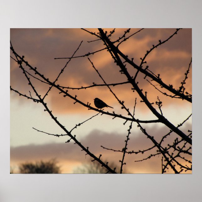 Póster Silueta solitaria (Frente)