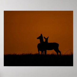 Póster Siluetas de ciervos al atardecer Fotografía de fau