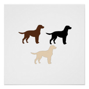 Póster siluetas de color labrador retriever