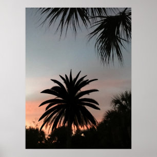 Póster Siluetas de palmeras al atardecer