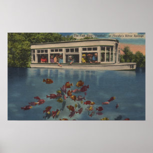 Póster Silver Springs, la Florida - vista de la barca y