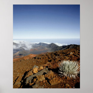 Póster Silversword en el borde del cráter Haleakala desde